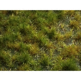 Peeling Type (Grass) Late Summer Height 2mm : Martin Uhlberg Non-Scale WB-P223