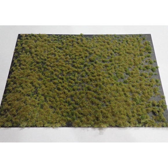 Tipo pelado (hierba) Principios de otoño Altura 2 mm : Martin Uhlberg Sin escala WB-P224