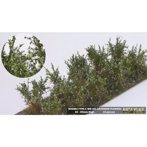 Bush C, stock type, height 40mm, 10 lavender plants : Martin Uhlberg Non-scale WB-SCL