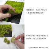 Tipo pelado (hierba, verde musgo) Altura 6 mm: Martin Uhlberg Sin escala WB-SWM