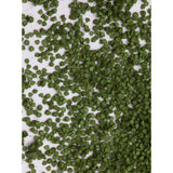 Powdered material: Birch leaves (dark green) : MBR material, non-scale 50-6001