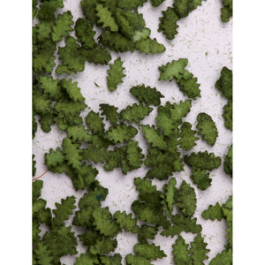 Powdered material: Oak leaves (green) : MBR material, non-scale 50-6005