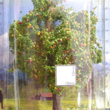 Apple tree 8 cm : Noch finished product HO(1:87) 21560