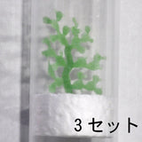 18 Uchiwa Cacti : Plastruct Kit Non Scale 94071