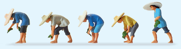 Personas plantando arroz (sombrero de paja) : Preiser - Producto terminado HO(1:87) 10572