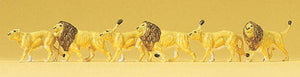 6 Lions : Preiser - Finished product N (1:160) 79713