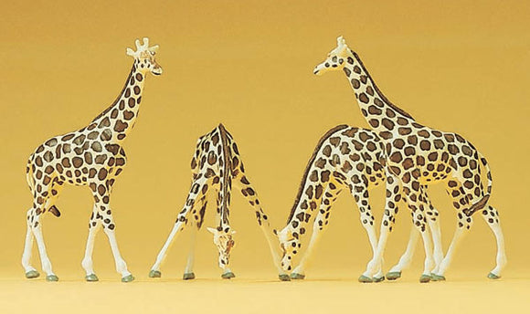 4 Giraffes : Preiser - Finished product N (1:160) 79715