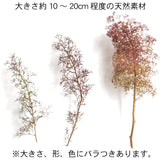 Small pack of dried Dutch flowers (Super Trees) : Sakatsuo Kit Non Scale 1214