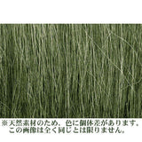 Material textil [Hierba de campo] Verde claro: material de Woodland, sin escala FG173