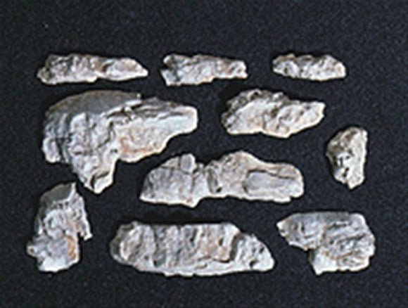 Molde de roca con partes expuestas de material forestal, sin escala C1230