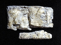 Moldes de roca Piedra geológica: material de bosque Sin escala C1239