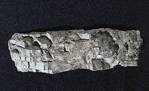 Rock mould, multi-sided, woodland material, Non-scale C1244