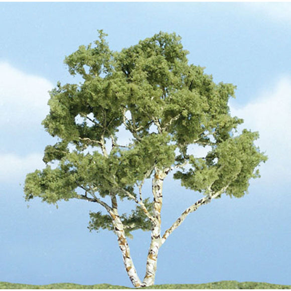 Premium tree birch : Woodland, painted, Non-scale 1601