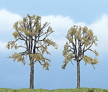 优质树枯榆树 6-8 厘米：林地，彩绘，无比例 1602