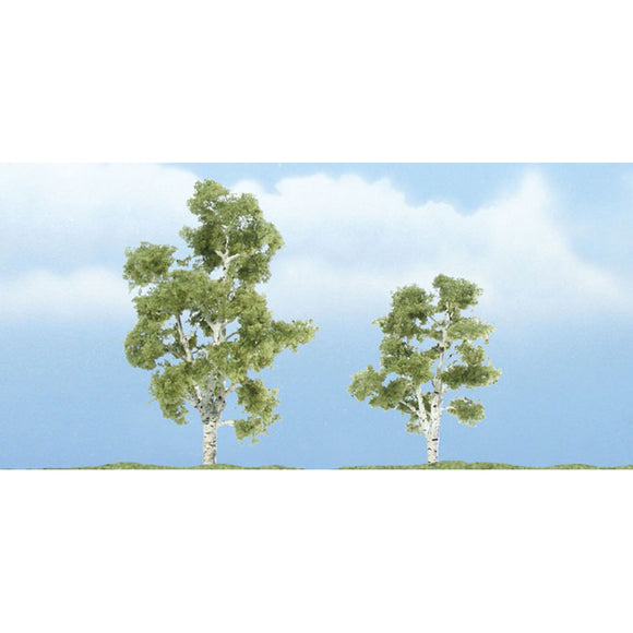 Premium tree Sycamore (American sycamore) 6-8cm : Woodland, painted, Non-scale 1603