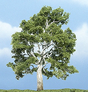 Premium tree Sycamore (American sycamore) 10-12cm : Woodland, painted, Non-scale 1609