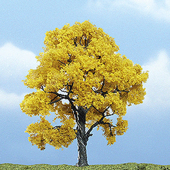 Premium tree - Autumn beech 10-12cm : Woodland - painted - Non-scale 1613