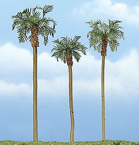 Premium Tree Palm (Royal Palm) 9-13cm : Woodland, painted, Non-scale 1617