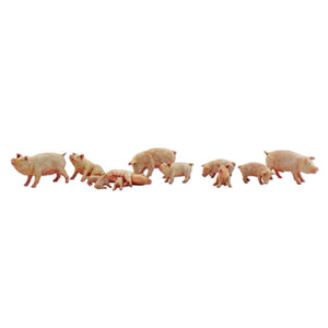 12 Pigs (Yorkshire breed) : Woodland Finished product set N (1:160) A2218