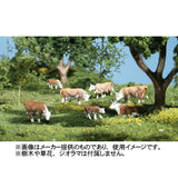 7 Hereford Cows : Woodland - Painted O(1:48) A2767