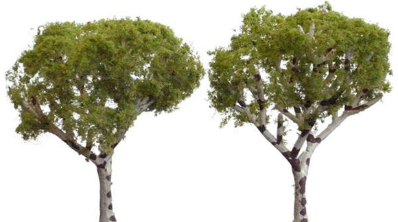 4 棵白桦树 5-7.6 厘米：林地完成，无比例 3533
