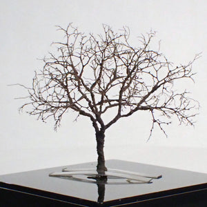 Completed tree model "Nude tree of winter approx. 7cm" : Art Stage K - Modeling work - Non-Scale
