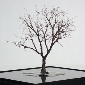 Completed tree model "Nude tree of winter approx. 8cm" : Art Stage K - Modeling work - Non-Scale
