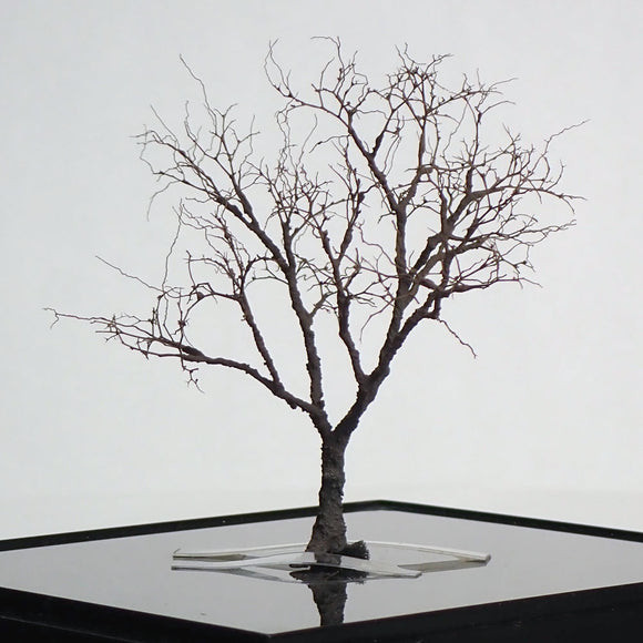 完成的树模型“冬天的裸树约 8 厘米”：艺术阶段 K - 建模工作 - 非比例