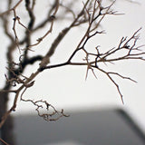 Completed tree model "Nude tree of winter approx. 8cm" : Art Stage K - Modeling work - Non-Scale