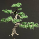 完成树模型“花园松树约 5 厘米”：艺术阶段 K - 建模工作 - 非比例
