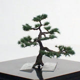 Completed tree model "Pine of garden approx. 5cm" : Art Stage K - Modeling work - Non-Scale