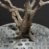 Modelo de árbol completo "Árbol viejo aprox. 8 cm" : Art Stage K - Trabajo de modelado - Sin escala