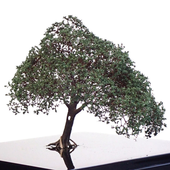 Completed tree model 