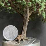 Completed tree model "Heritage tree approx. 12cm with a tree hollow" : Art Stage K - Modeling work - Non-Scale