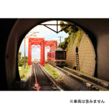 双轨桁架桥 : Norihisa Matsumoto 涂装 1:150 尺寸