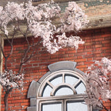 Art Frame "Spring" : Sucottu Gurei Non-Scale Diorama